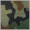 PL CAMO